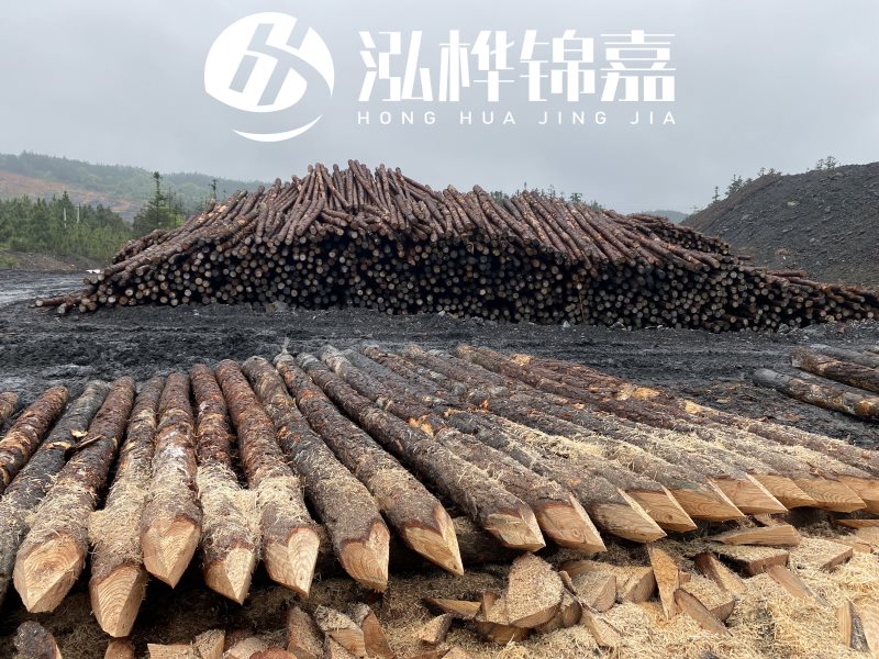 6米長(cháng)松木樁有哪些作用，多少錢(qián)一根？
