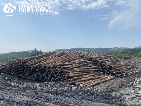 河道打樁為什么選擇松木樁來(lái)處理軟地基？-松木樁施工使用范圍