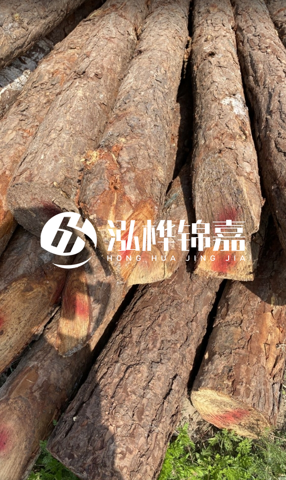 <strong>松木樁和杉木樁的用途區別？哪個(gè)更適合打樁用？</strong>