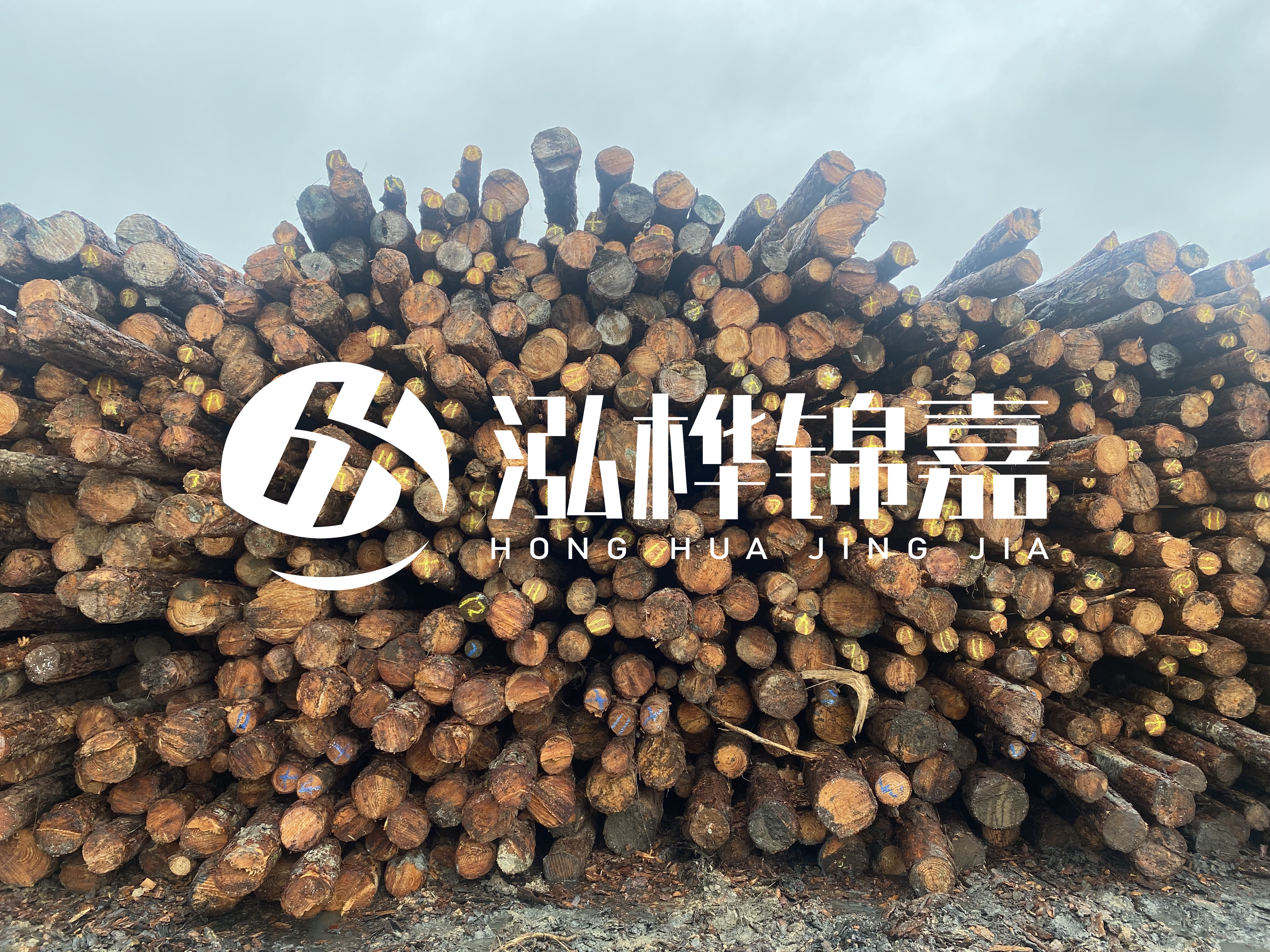 松木樁的直徑一般取多少？
