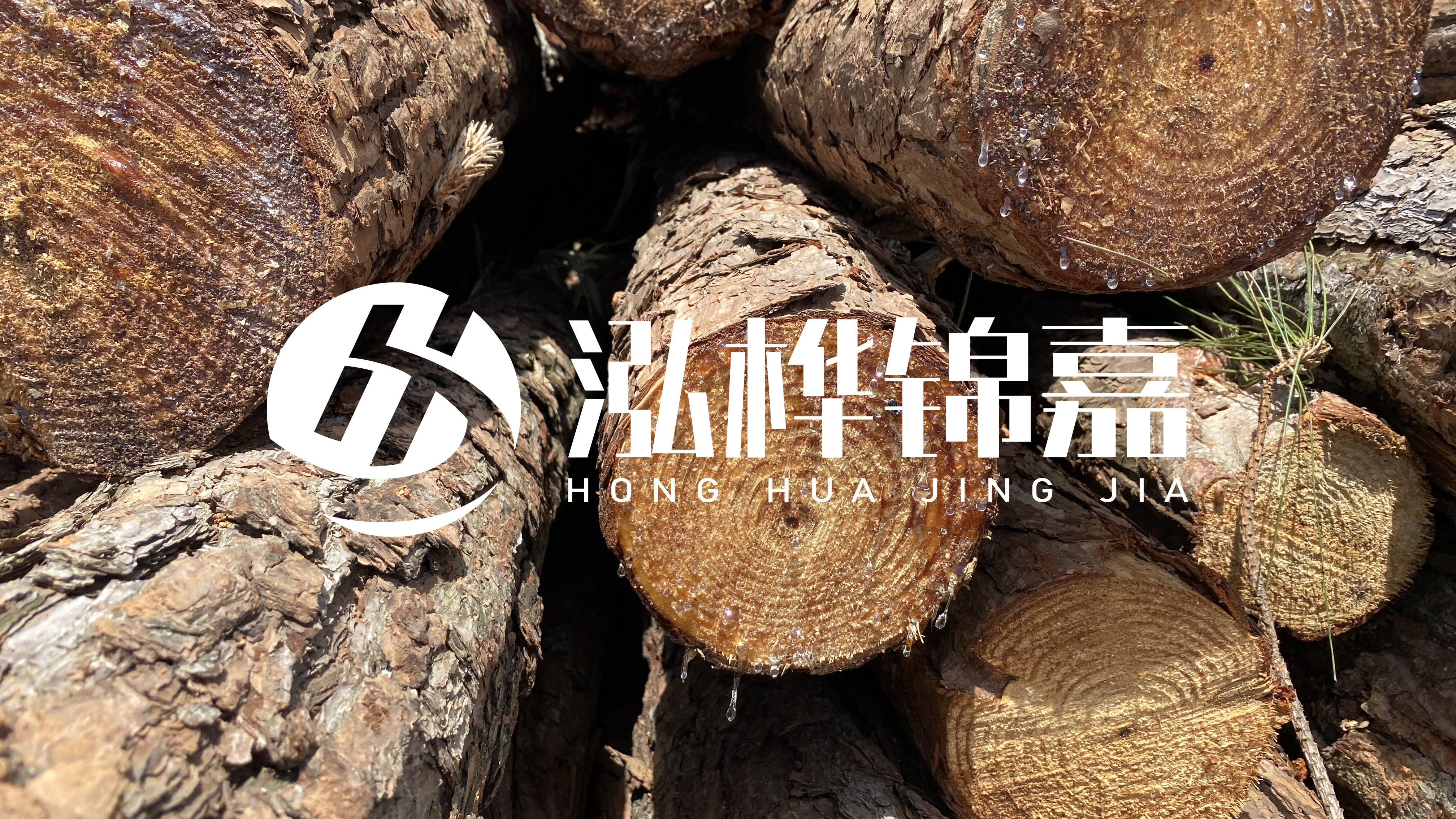 為什么要用松木樁治理河道？