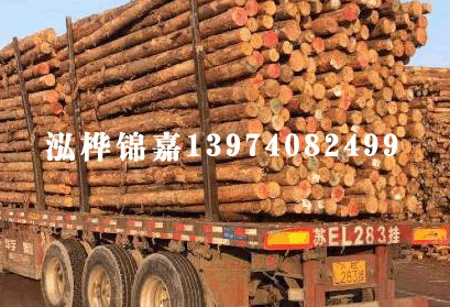 松木氣味怎么去除